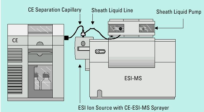 CE-MS elektromos
