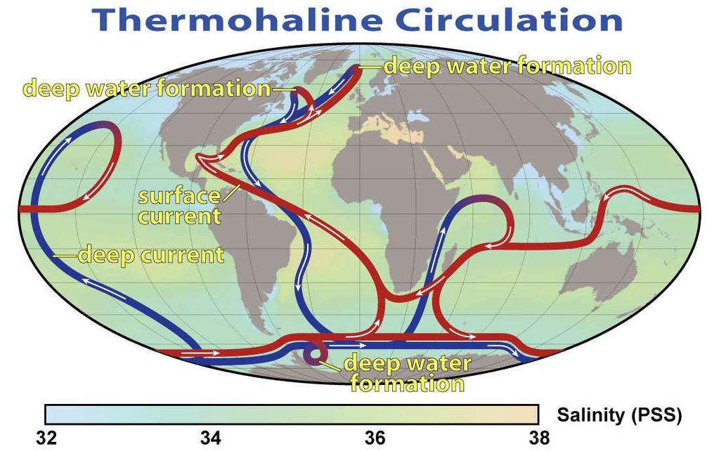 A Broecker-áramlás leállása Broecker-áramlás: globális szállítószalag, az Atlanti- és a Csendes-óceánt összekötő vízkörzés hajtóereje a sótartalom- és