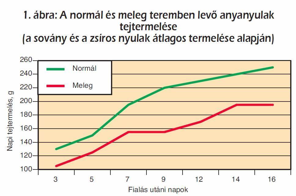 A 3-4 alkalommal már fialt anyanyulak egyik felét normál hőmérsékletű (20 C: 18,5-24,9 C), a másik felét meleg teremben (30 C: 26-32,3 C) helyeztük el, és két fialáson keresztül követtük termelésüket.