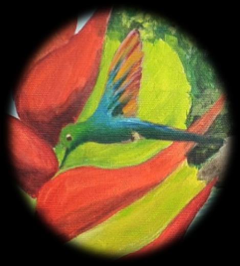 Egzotikus növény- és állatvilág a jelenséget szexuális erőforrás felosztásnak is nevezik, amelyet a bíbortorkú kolibri számára két Heliconia fajta biztosít.
