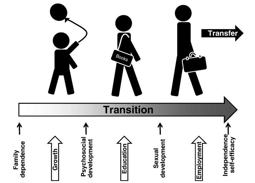 A tranzíció folyamata - A process, not an event!