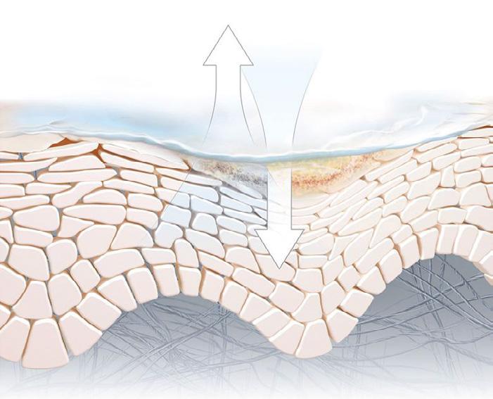A regeneráló kenőcs nyugtatja és helyreállítja a nagyon száraz, károsodott, irritált bőrt. Minek köszönheti hatékonyságát? A sérült bőr csak megfelelő feltételek mellett tud gyorsan regenerálódni.