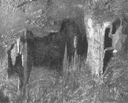 19. kép. Függő cseppkövek és egy oszlop a Baradlában. (Balogh Rudolf felvétele.