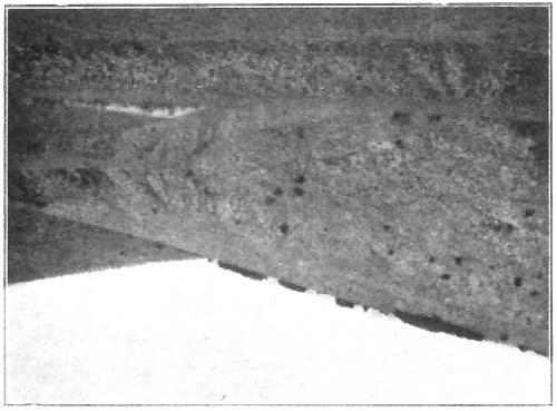 Az aggteleki tavat (4. kép) Tóhely-nek is nevezik és azt beszélik róla, hogy egykor a helye száraz volt, művelték.