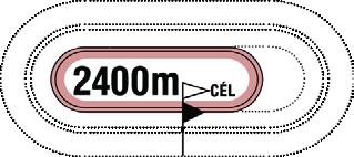 2019.02.16 IV. FUTAM 15:30 (26) A futam neve: NYAKAS HENDIKEP Autóstart! Összdíjazás: 400000 Ft (200000, 100000, 48000, 32000, 20000) 1 Universal Boy 2400 m Gyolai Zoltán am.