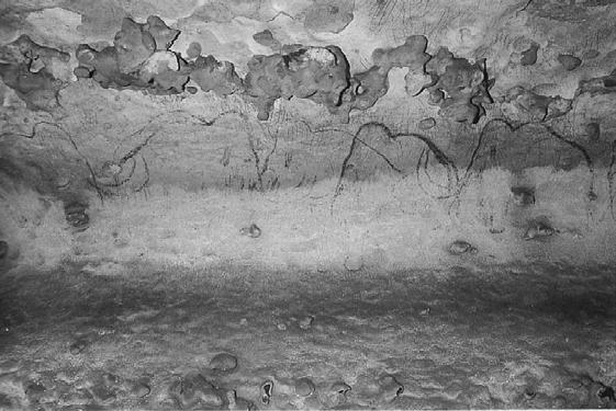 8. kép: Mamut fríz Rouffignac-ban ( M. PLASSARD 1995) Picture 8: Mammouth in Rouffignac cave ( M.