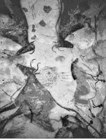 kép: Lascaux freskói a) Ménes bikával; b) a barlang egyetlen emberábrázolása d)