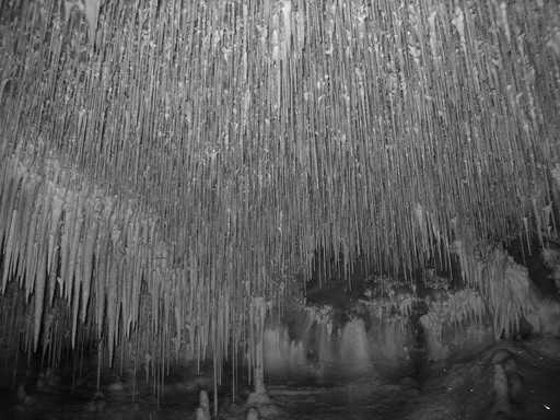 A barlang különlegessége a rajzokon kívül abban rejlik, hogy igen nagy sűrűségben találunk itt szalmacseppköveket. 1. kép: Szalmacseppkövek sokasága a cougnaci barlangban.