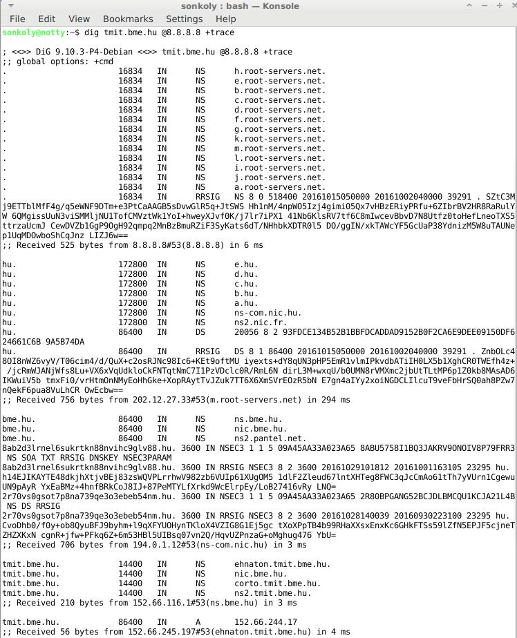 DNS Query