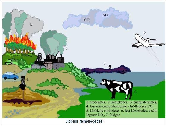 Ezt a növekedést több forrás táplálja (1. ábra). Az üvegházhatás megemeli a Föld átlaghőmérsékletét (2. ábra) globális felmelegedést eredményez, amely különösen érinti a sarkvidéki területeket.