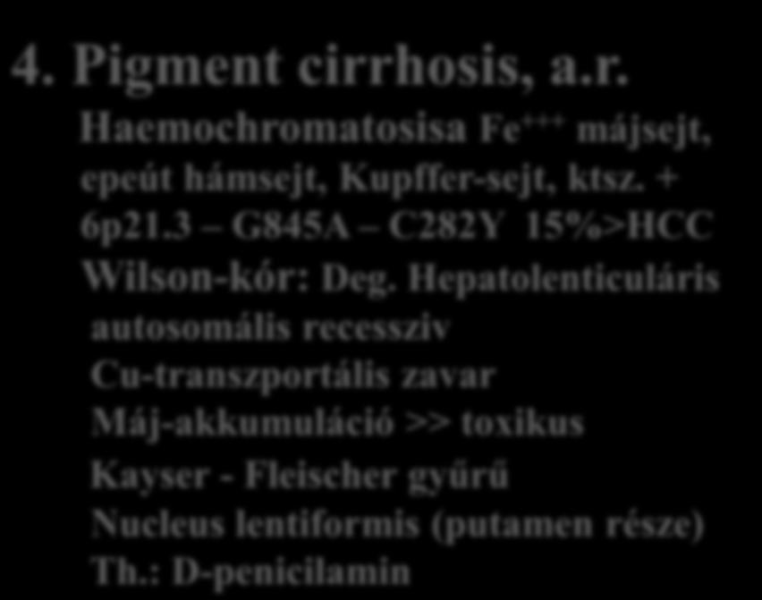 Cirrhosis hepatis-5b 2. Postnecrotikus nagygöbös cirrhosis - Chronicus hepatitis talaján HBV+ CH HCV CH Autoimmun hepatitis Metabolikus CH ( 1 -ATD), a.r., 75 polimorf Pi, leggyakoribb normál PiMM, leggyakoribb beteg: PiZZ (10% 1 -AT); pont mutáció: Glu>Lys.