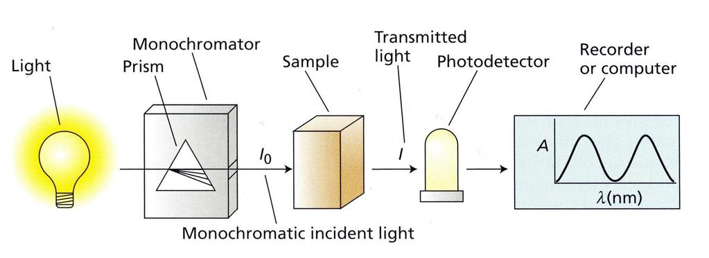 A spektrofotométer főbb részei: A fotométer vázlata Lámpa: halogén (VIS), deutérium lámpa (UV), fotodióda (rögzített hullámhossz) Monokromátor vagy fényszűrő: megfelelő hullámhossz kiválasztása Rés: