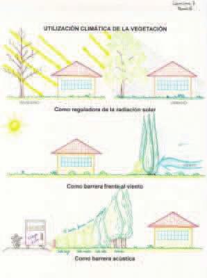 arquitectónicos.
