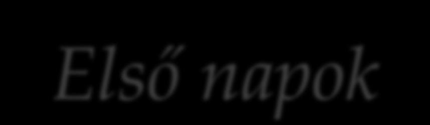 Első napok Több, mint 100 tanuló volt Erasmuson, a világ minden pontjáról.