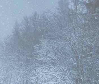 latyakban, hóban és nedves útfelületeken is kiváló tapadást biztosít hideg időben,