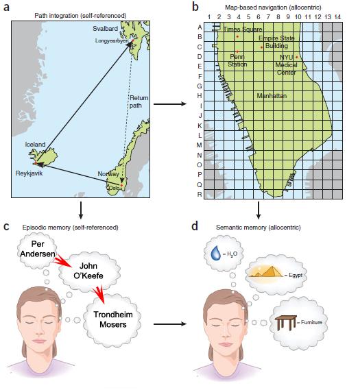 57 Buzsáki & Moser, Nat Neurosci, 2013 A CA3 CA1 rendszer egy