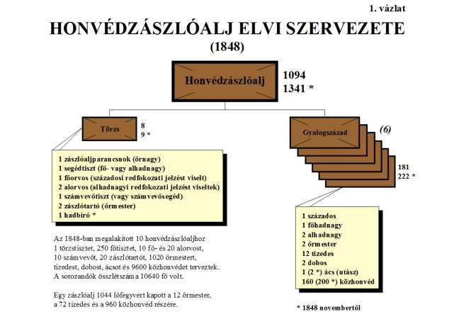 2 1848 novembertől a közhonvédek számát századonként 200 főre, az ácsok számát pedig 2 főre növelték.