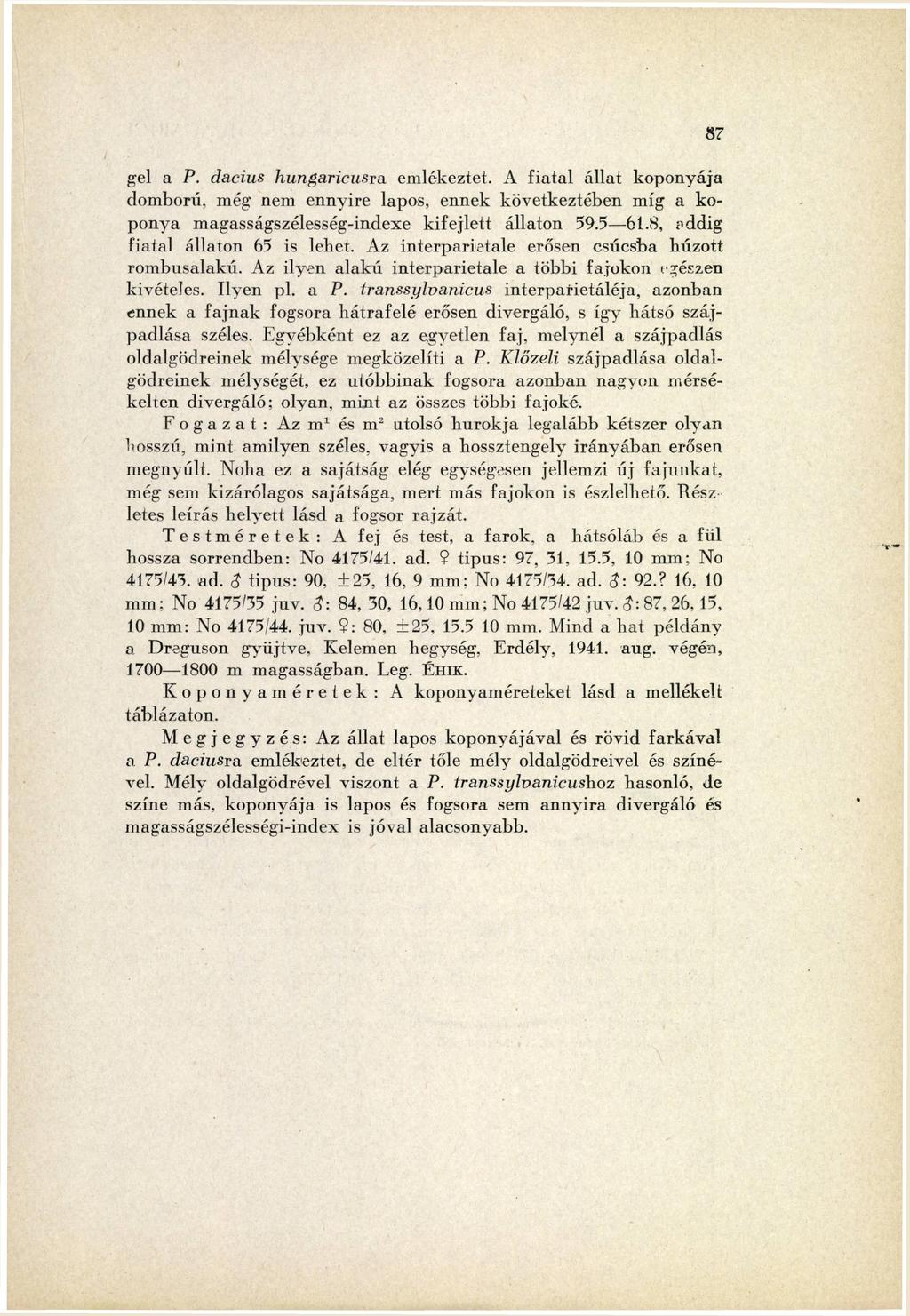 gel a P. dacius hungaricusra emlékeztet. A fiatal állat koponyája domború, még nem ennyire lapos, ennek következtében míg a ko ponya magasságszélesség-indexe kifejlett állaton 59.56.