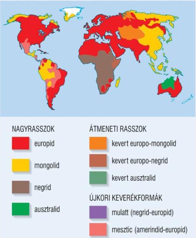 A nagyrasszok földrajzi elterjedése a Földön A nagyrasszok