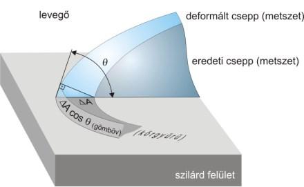 kvarc tridimit krisztobalit A Young-egyenlet levezetése: sz sz, sz sz,.