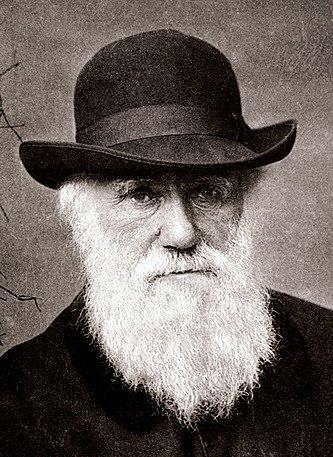 egy angol tudós, Charles Darwin ismerte fel először az evolúció jelenségét (őt még kinevették ezért) evolúció: az a folyamat, amelynek során a fejletlenebb élőlényekből a természetes kiválasztódás