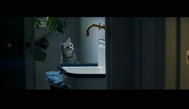 5.13. Whiskas aggályos, de elfogadható A filmben a macska élvezettel nézi a csöpögő vízcsapot.