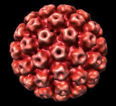 HPV fertőzés A szexuális aktus következtében kialakuló bakteriális, virális és gombás fertőzések elsősorban hüvelyi folyást okoznak.