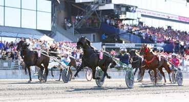 10 Vinifera M 2020 m Gras Mónika (-20 m) (2,1-0) (Fehér, sötétkék váll, kék szegély) 4 stpk Cigar Dan - Sembs Jessamine / Armbro Trick Papp István Istálló: Gyolai i. 27.7 21.2-368000 Ft Élet stat.