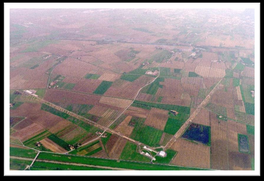 Cascinában 2007: LIGO - Virgo együttműködés, a mérési adatok, feldolgozó eljárások és számítási erőforrások megosztása 2007: