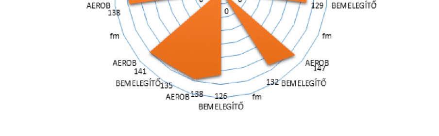 ábra) Az ábra mutatja, hogy az óra terhelése mennyire volt intenzív az egyes tanulóknak, mennyire emelte meg a pulzusukat a bemelegítő rész és a fő rész