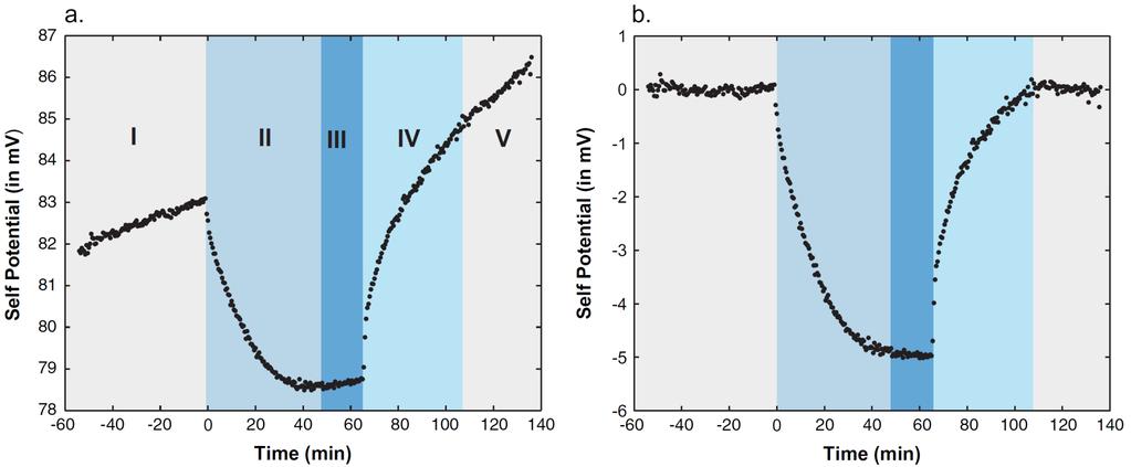 Révision des méthodes électriques Polarisation spontanée Le principal attrait de la polarisation