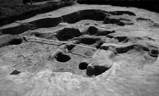 lehumuszolás és az azt követő nyesések során mintegy 20 további objektum került elő, melyek egy része síroknak, míg más része településobjektumnak bizonyult (a munkálatokat ekkor Bencze Zoltán