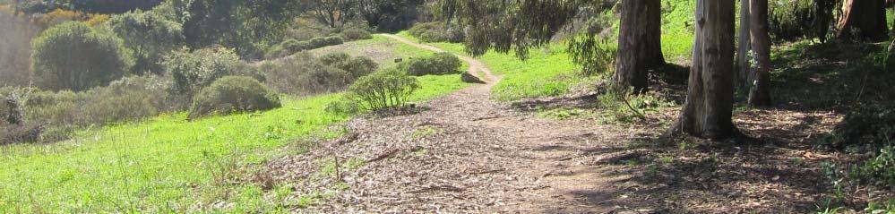 Radish Hill