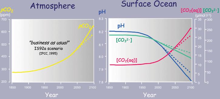 Using Henry's law and the equilibrium of dissolved CO 2 in water, we can calculate the ph of the water