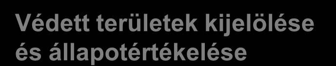 A VGT tartalma és a feladatmegosztás VKKI-KÖVIZIG Vízgyűjtők víztestek leírása Területi