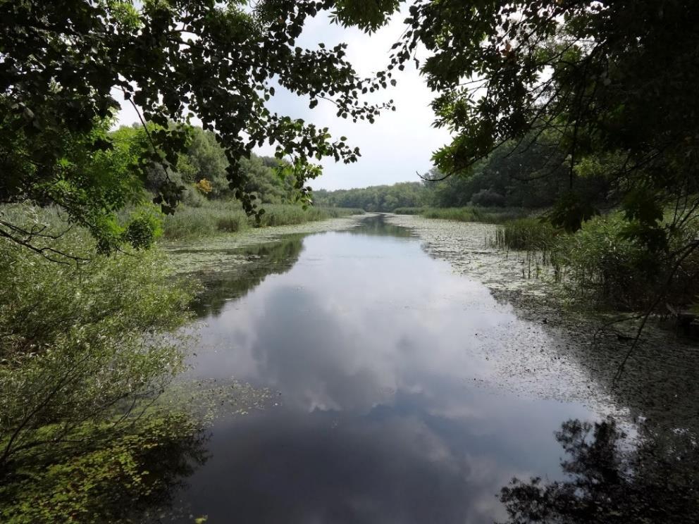 1.6. Holtágak rekonstrukciója Dunaegyházi holtág A holtágak: 237 db: 180 Tisza és 57 Duna.