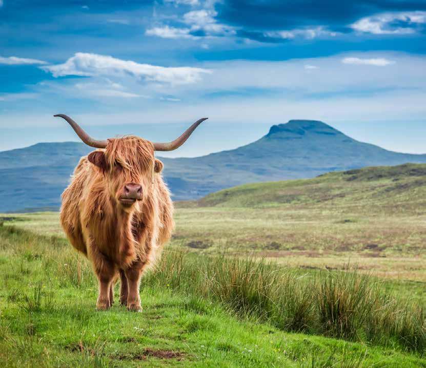 Skócia A legendák földjén körutazás Természeti látnivalók INVERNESS LOCH NESS-I TÓ STIRLING GLASGOW FALKIRK CAWDOR PITLOCHRY EDINBURGH 1.