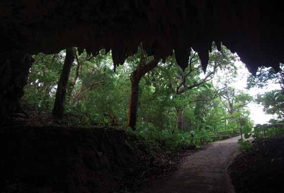 Okinaván lépten-nyomon, a városok belterületén is, mindenütt találkozunk szép cseppkőbarlangokkal. A néhol óriási méretű vagy rejtett folyosókon át megközelíthető üregek a nevezetes II.