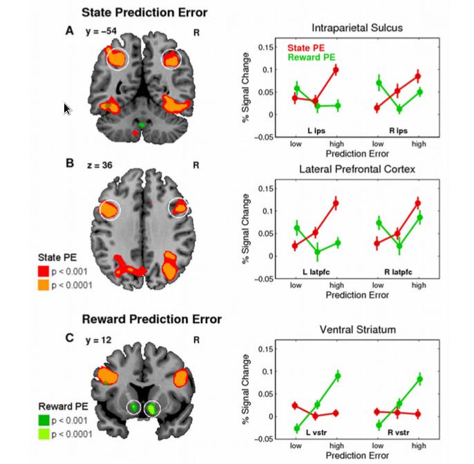 fmri