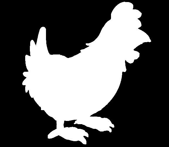 Pocak-tömő pipi lakomák a baromfiudvarból 11, Dundi Pipi(1,3,7)... 2590.