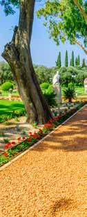 Séta a UNESCO világörökség részét képező Akko óvárosában, ahol látogatás a keresztes lovagok várában. Haifán a Stella Maris Kolostor és a Bahai kert megtekintése kívülről.
