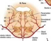 STROKE - OCULAR STROKE KETTŐSLÁTÁS szemmozgató központok agytörzs fogalmak -