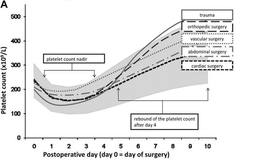 Platelet fall after surgery Andreas Greinacher, and Kathleen