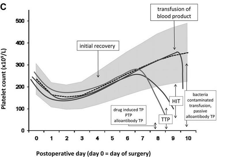 Platelet fall after recovery may suggest HIT Andreas Greinacher, and