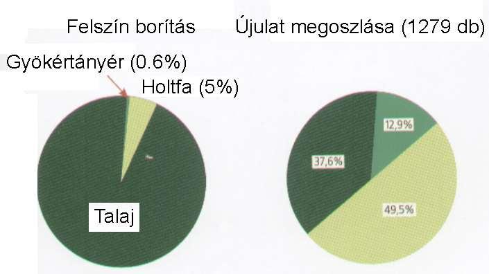 Felújulás,