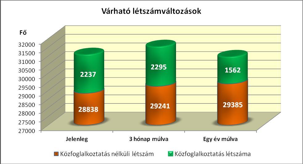 f) Közfoglalkoztatás 12 A jelen munkaerő-gazdálkodási felmérés alkalmával is sor került a közfoglalkoztatásról információt kérni, vagyis a megkérdezett munkáltatók alkalmazottai közül hányan