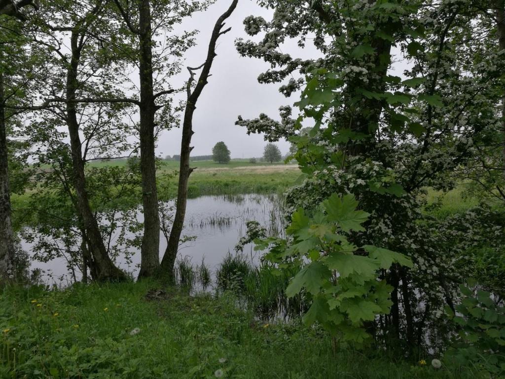 A projektet bemutató szakember őszintén elmondta, hogy az elején meg kellett küzdeniük a rivalizálás és a bizalmatlanság okozta nehézségekkel, míg megtanulták az érintettek, hogy miért fontos közös