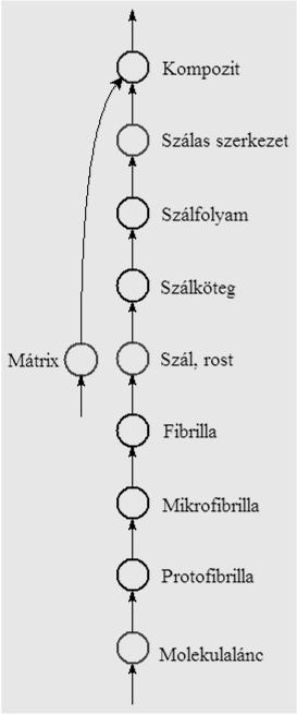11 SZÁLAS-ROSTOS SZERKEZETEK Hierarchikus szerkezet jellemzői Természetes szálas-rostos anyagok Természetes (bio)polimerek (cellulóz, kitin, fehérje) -Növényi eredetűek (fa, lenrost,