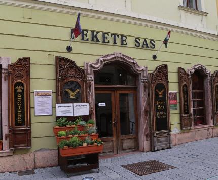 Rólunk Értékmentő gyógyszerészek A székesfehérvári Fekete Sas Patikamúzeumban Dédapáink patikája címmel április 10-én új kiállítás nyílt ezzel kapcsolatban a gyógyszerészeti értékek megőrzésében