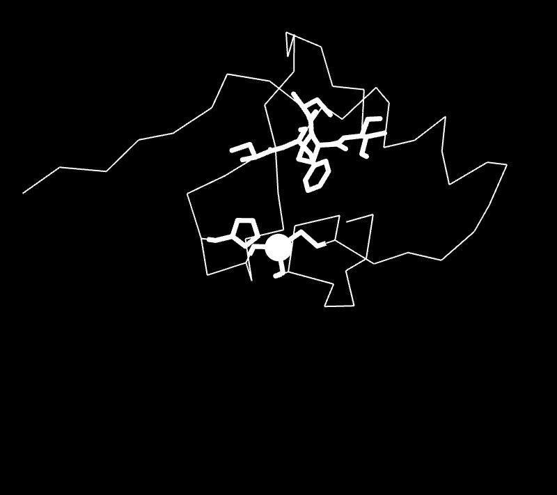 B, SP-RING (zf-miz) domain structure as modeled for PIAL2.